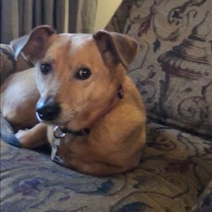 Meet your Posher, Nathan